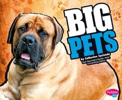 BIG Pets - Catherine Ipcizade