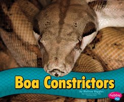Boa Constrictors - Melissa Higgins