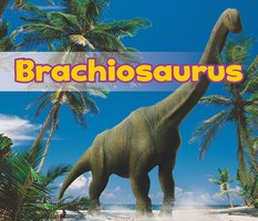 Brachiosaurus - Daniel Nunn