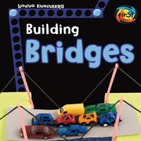 Building Bridges - Tammy Enz