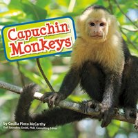 Capuchin Monkeys - Cecilia Pinto McCarthy