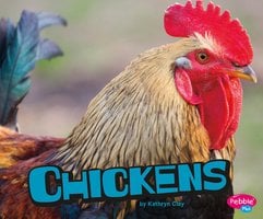 Chickens - Kathryn Clay