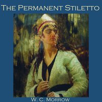The Permanent Stiletto - W. C. Morrow