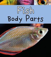 Fish Body Parts - Clare Lewis