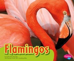 Flamingos - Cecilia Pinto McCarthy