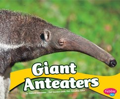 Giant Anteaters - Chadwick Gillenwater