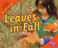Leaves in Fall - Martha Rustad