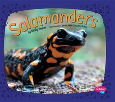 Salamanders - Molly Kolpin