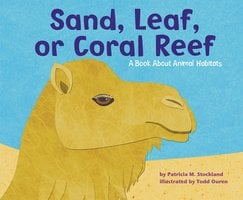 Sand, Leaf, or Coral Reef