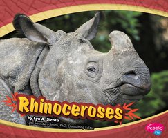 Rhinoceroses - Joanne Mattern