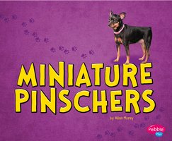 Miniature Pinschers - Allan Morey