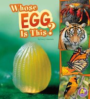 Whose Egg Is This? - Lisa Amstutz