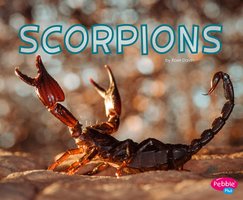 Scorpions - Rose Davin