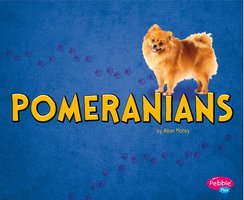 Pomeranians - Allan Morey