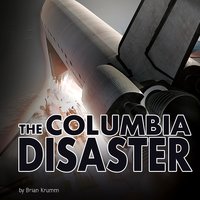 Shuttle In the Sky: The Columbia Disaster - Brian Krumm