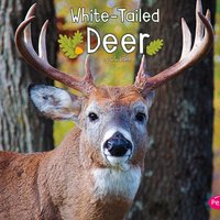 White-Tailed Deer - G.G. Lake
