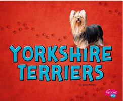 Yorkshire Terriers - Allan Morey