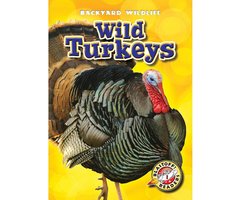 Wild Turkeys - Kristin Schuetz