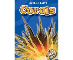 Corals - Ann Herriges