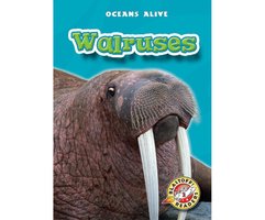 Walruses - Colleen Sexton
