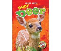 Baby Deer: Blastoff! Readers: Level 1 - Bethany Olson