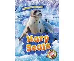 Harp Seals - Rebecca Pettiford