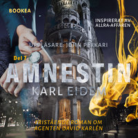 Amnestin - Karl Eidem
