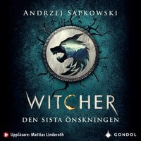 Den sista önskningen : berättelser om Geralt av Rivia - Andrzej Sapkowski
