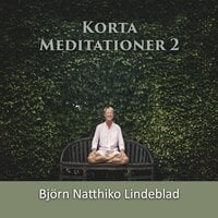 Korta Meditationer 2 - Björn Natthiko Lindeblad