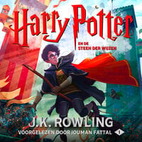 Harry Potter en de Steen der Wijzen - J.K. Rowling