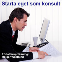 Starta eget som konsult - Holger Wästlund