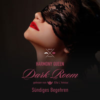 Dark Room - Band 2: Sündiges Begehren - Harmony Queen