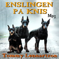Enslingen på Knis : Drama, spänning och romantik - Tommy Lennartzon
