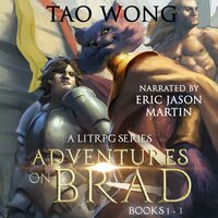 Adventures on Brad Books 1-3: A LitRPG Fantasy Series - Tao Wong