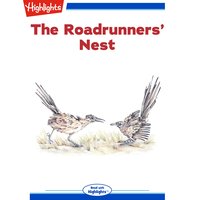The Roadrunners' Nest - Jennifer Owings Dewey