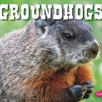 Groundhogs - Chadwick Gillenwater