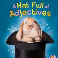 A Hat Full of Adjectives - Bette Blaisdell