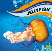 Jellyfish - Jody S. Rake