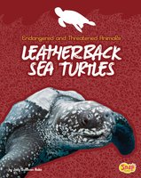 Leatherback Sea Turtles - Jody Rake