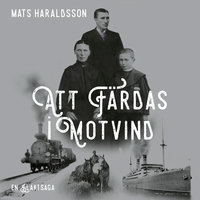 Att färdas i motvind - Mats Haraldsson