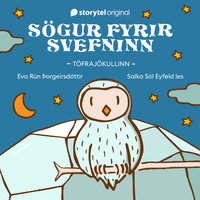 Sögur fyrir svefninn – Töfrajökullinn - Eva Rún Þorgeirsdóttir