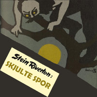 Skjulte spor - Stein Riverton