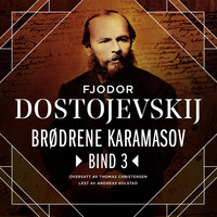 Brødrene Karamasov - Bind 3 - Fjodor Dostojevskij