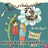 Fallet Bus och Balotelli - Anette Eggert