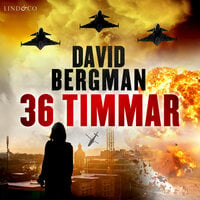 36 timmar - David Bergman
