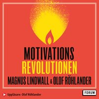 Motivationsrevolutionen : från temporär tändning till livslång låga - Magnus Lindwall, Olof Röhlander