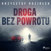 Droga bez powrotu - Krzysztof Koziołek