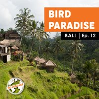 Bird Paradise - Billyana Trayanova
