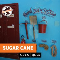 Sugar Cane - Billyana Trayanova