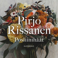 Posliinihäät - Pirjo Rissanen